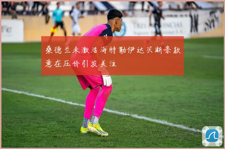 桑德兰未激活海特勒伊达买断条款意在压价引发关注